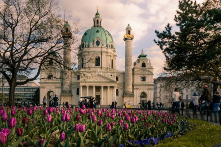 Passau Dom mit Tulpen im Vordergrund, Fr&uuml;hling in Passau.